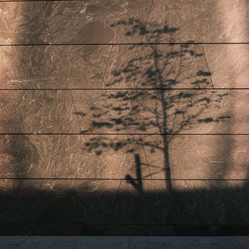 Shadow